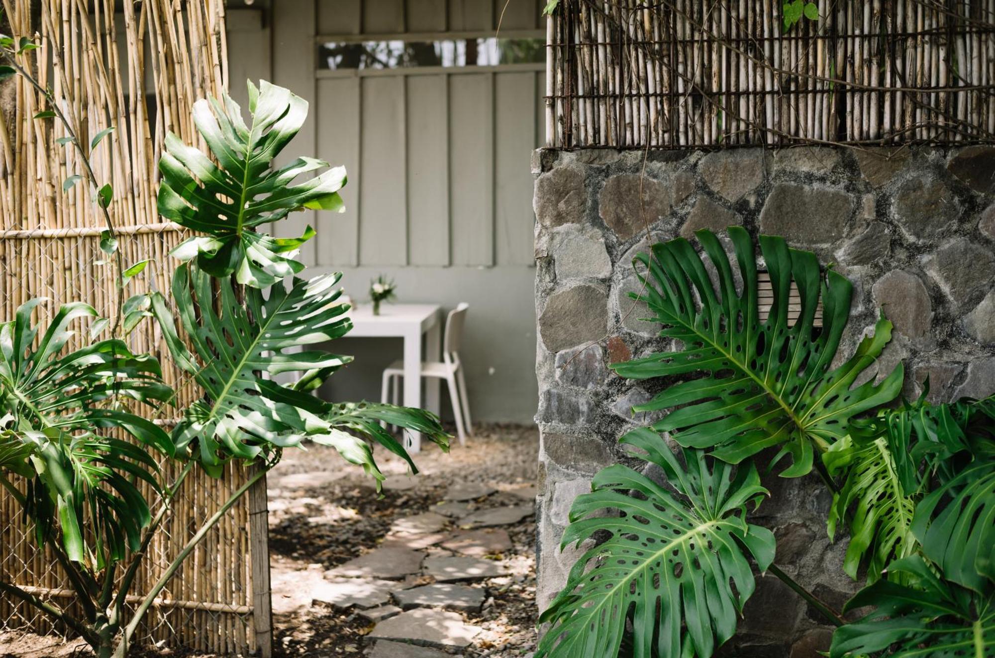Bed and Breakfast Anzan Atitlan Сан-Маркос-ла-Лагуна Экстерьер фото